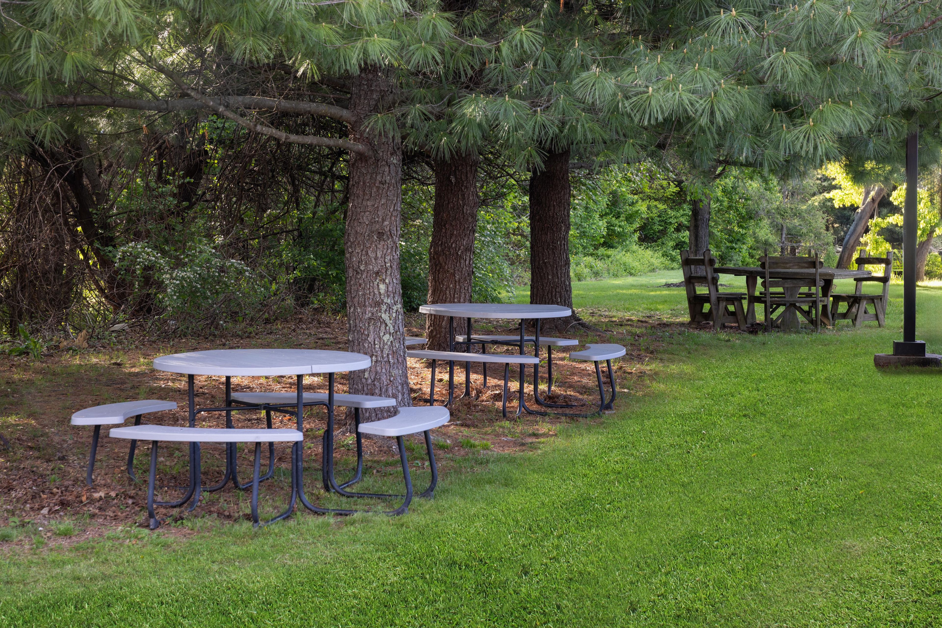Un espace pique-nique équipé de tables et de bancs, entouré d’arbres et d’herbe.