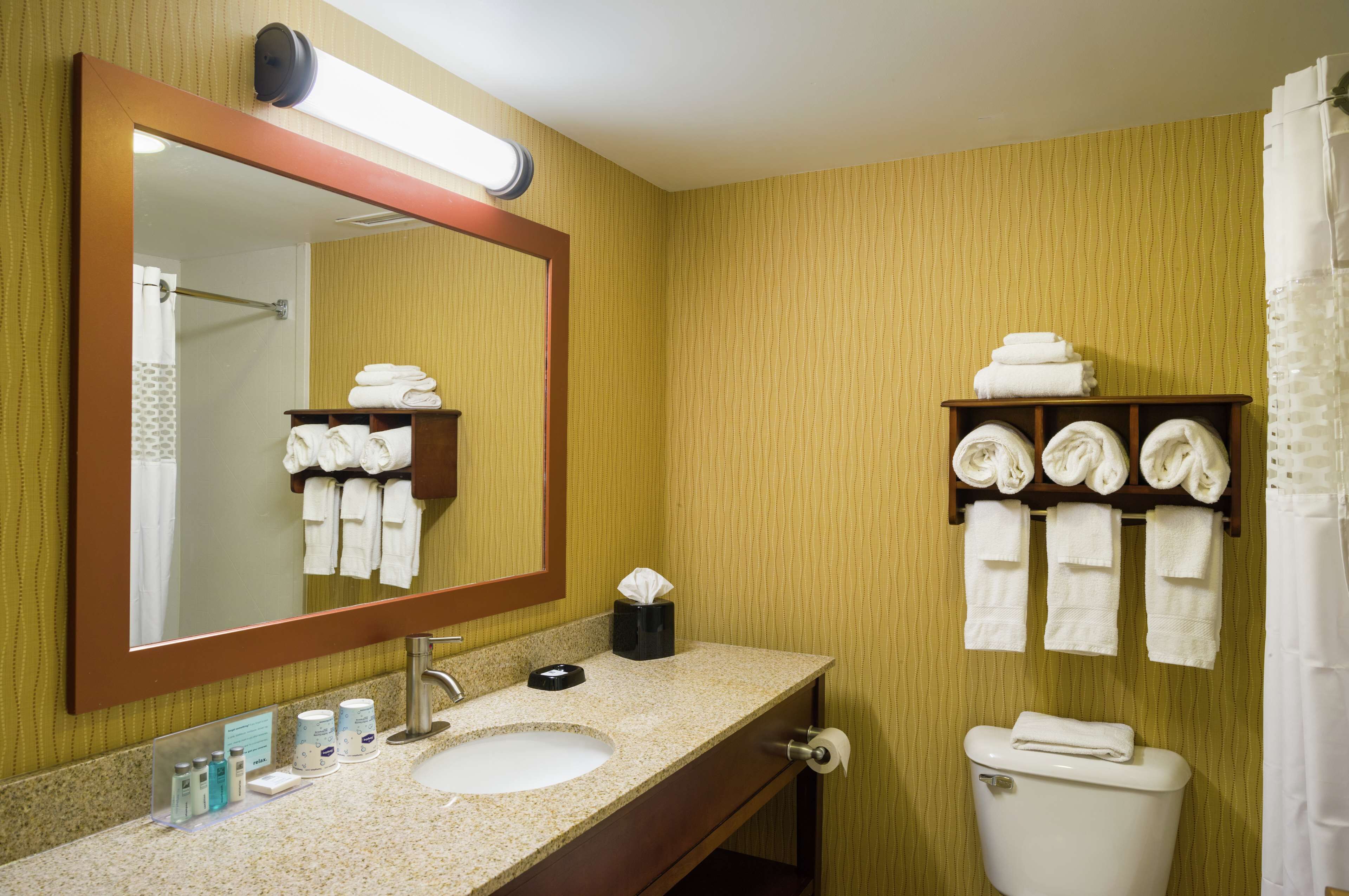 combined shower/bathtub, free toiletries, hair dryer, towels