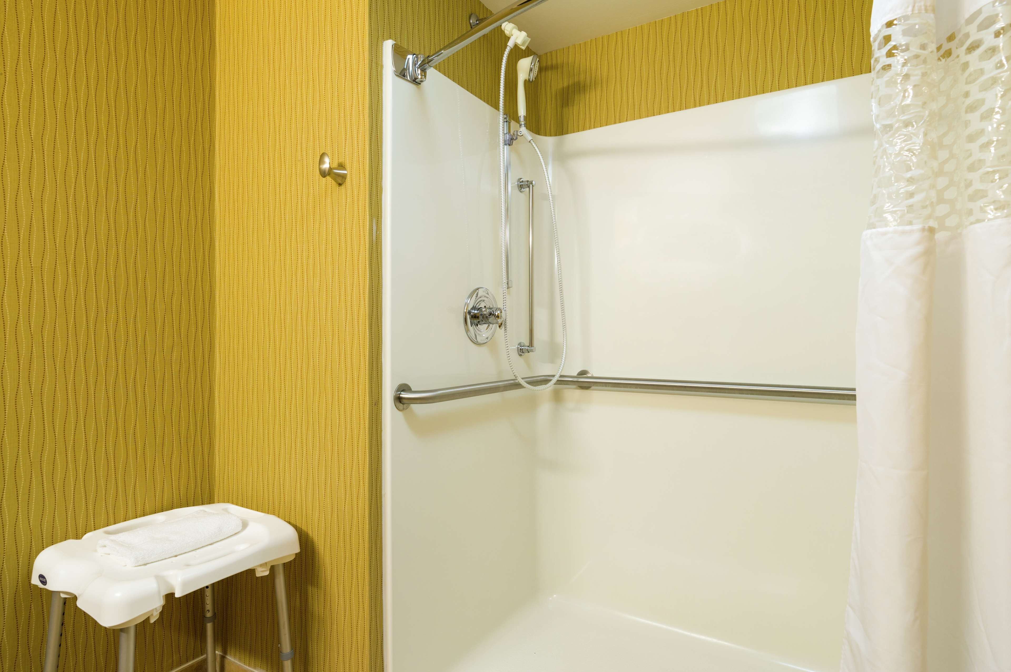 room, accessible, non smoking | bathroom shower