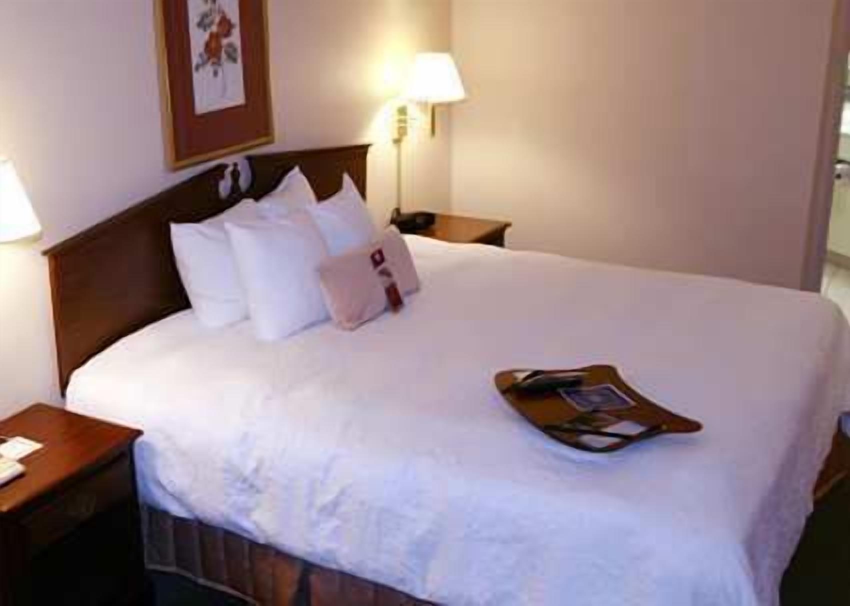 room, 1 king bed | in-room safe, iron/ironing board, free cots/infant beds, rollaway beds