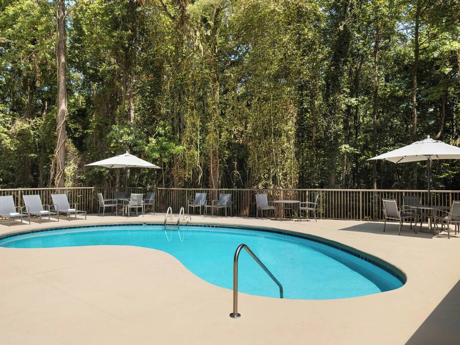 Una piscina con una escalera metálica, rodeada de sillas de descanso y sombrillas, con una valla de madera y árboles al fondo.