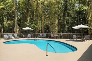 A swimming pool with a metal ladder, surrounded by lounge chairs and umbrellas, with a wooden fence and trees in the background.
