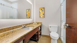 Une salle de bain avec un lavabo en marbre, des toilettes et une douche à parois de verre.