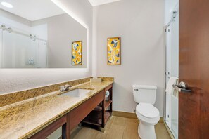 Suite, non-fumeur | Salle de bain