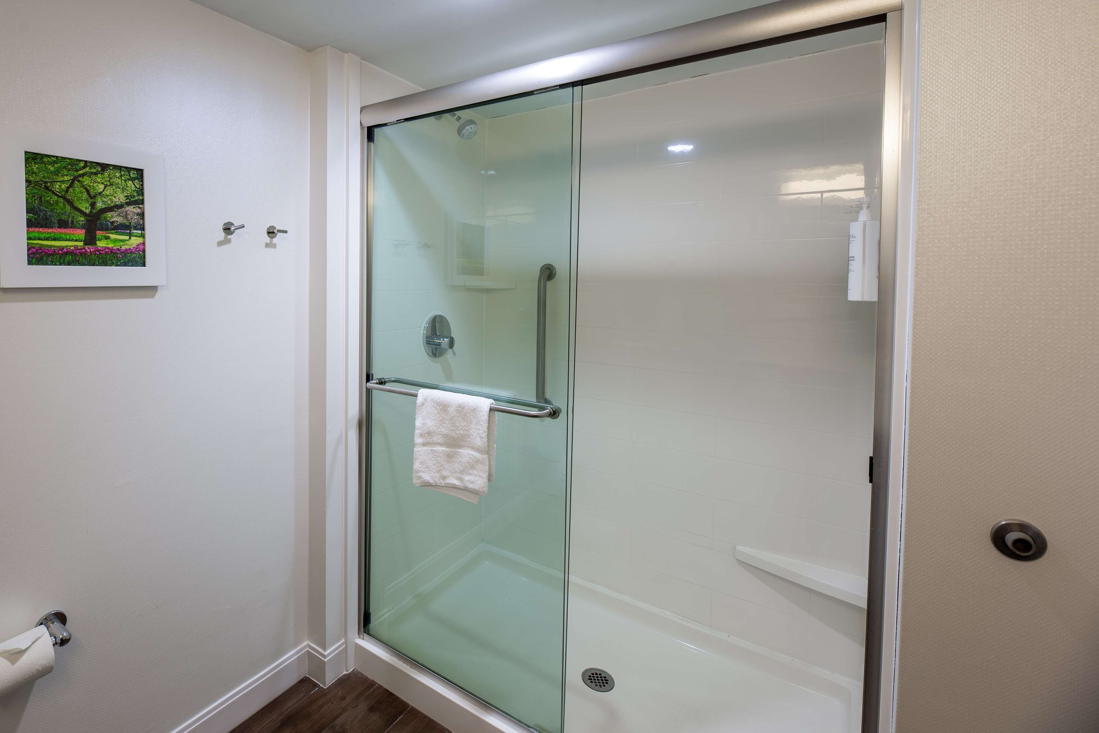 A glass-enclosed shower with a towel rack, a toilet paper holder, and a picture on the wall.