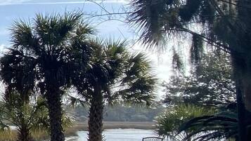 A view of a beach with palm trees and a bench.