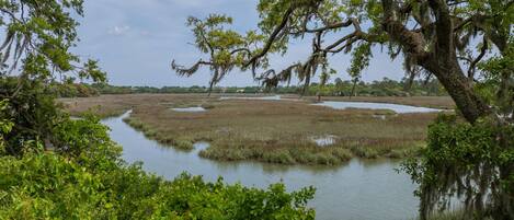 A natural landscape with a water body surrounded by vegetation and trees.