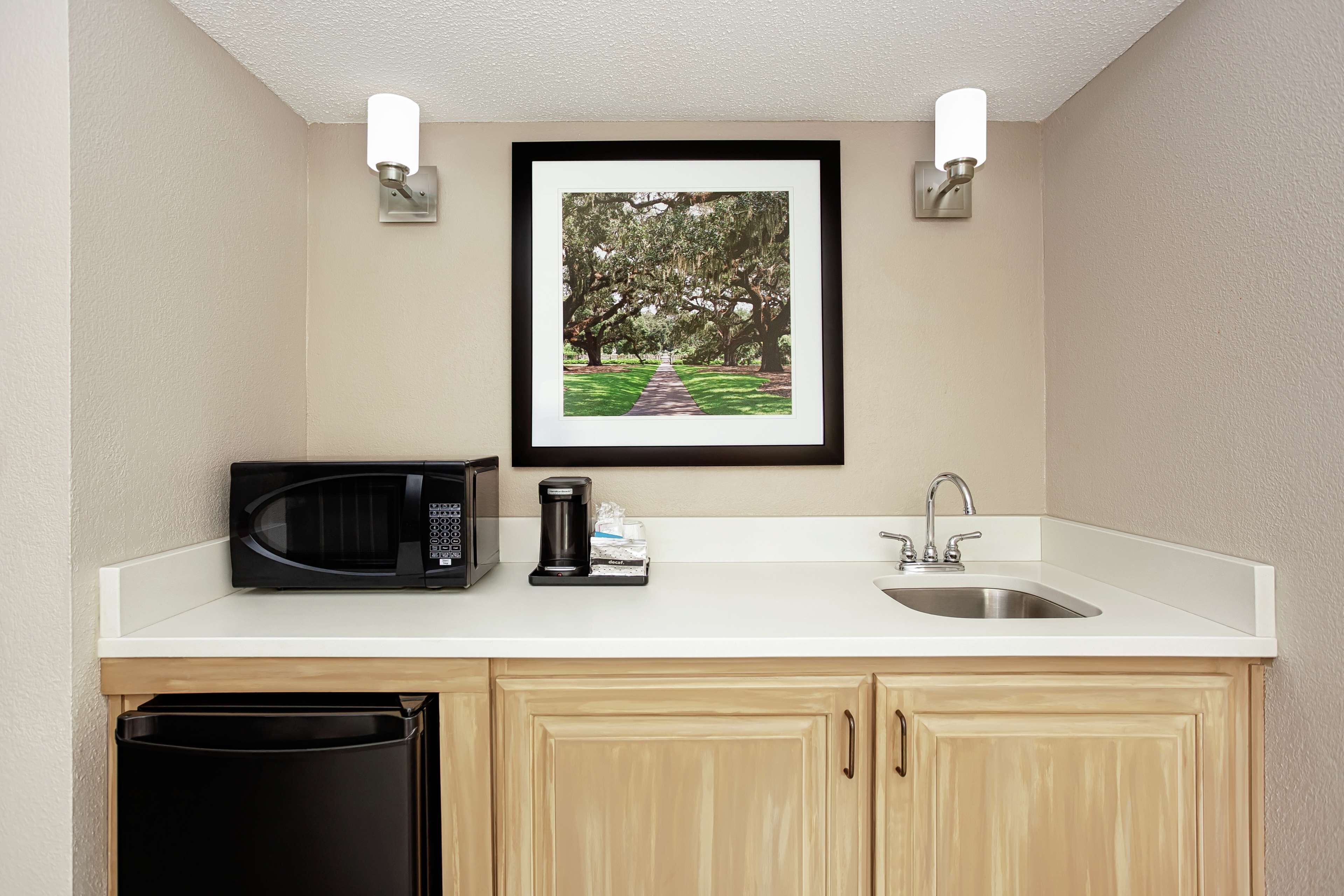 suite, 1 bedroom, non smoking (1 king bed) | in-room safe, desk, laptop workspace, iron/ironing board