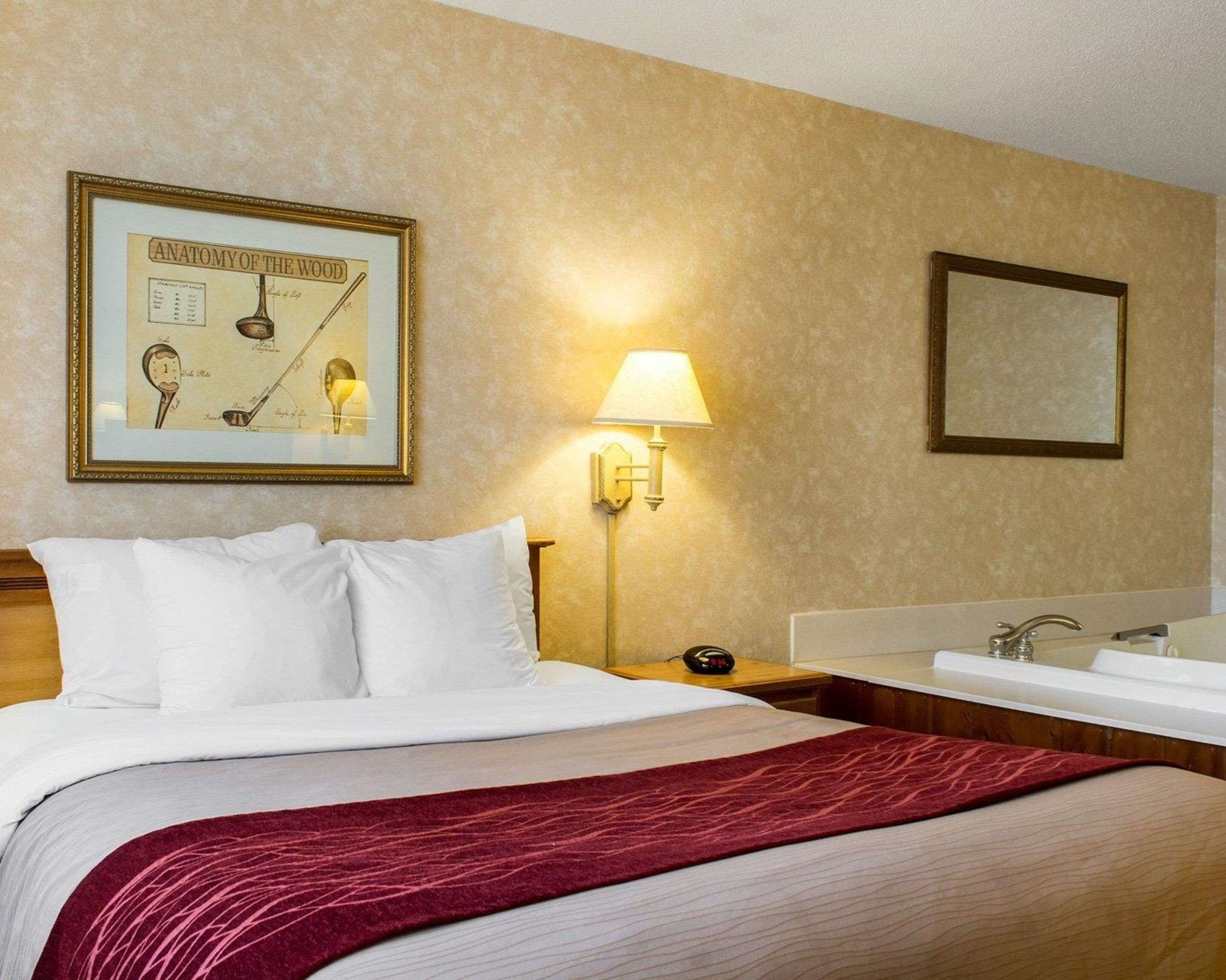 Una habitación de hotel con cama, un cartel enmarcados con la anatomía de la madera, una lámpara, una mesita de noche y un baño con lavabo y espejo.