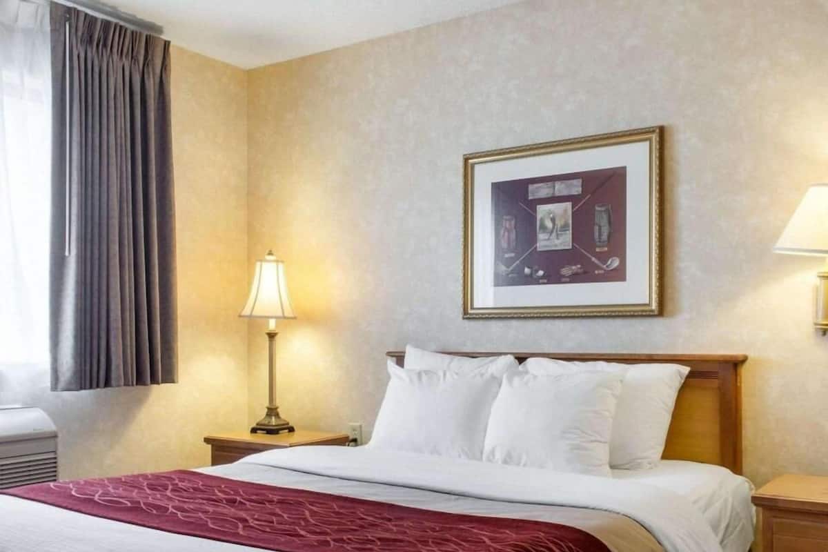 A hotel room with a bed, a nightstand, a lamp, a framed picture on the wall, and a window with curtains.