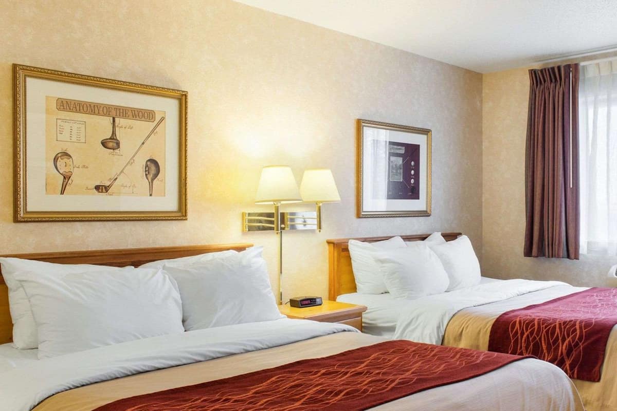 A hotel room with two beds, a framed anatomy of the wood illustration, a lamp, and a window with curtains.