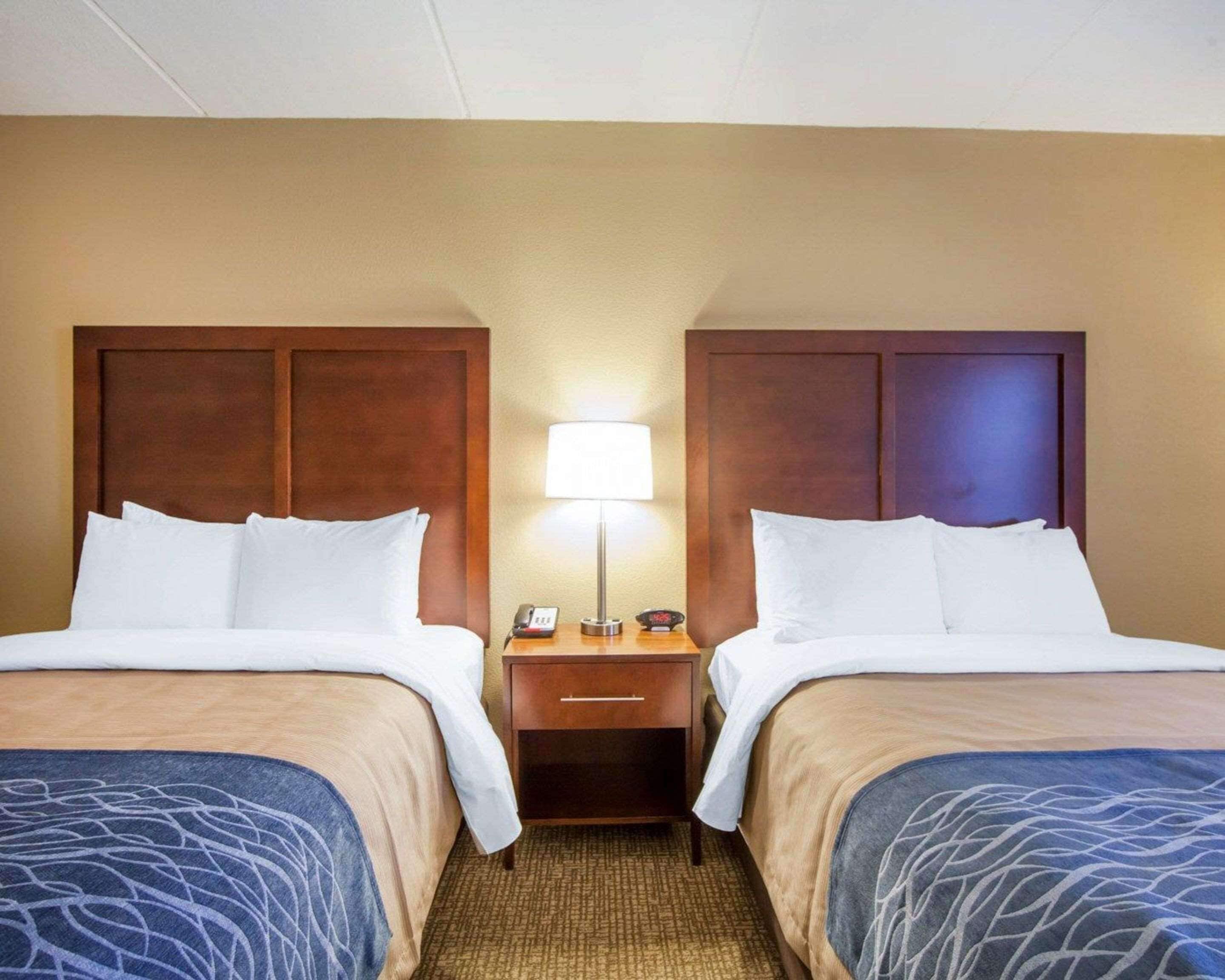 standard room, 2 queen beds, non smoking | desk, iron/ironing board, free cots/infant beds, free wifi