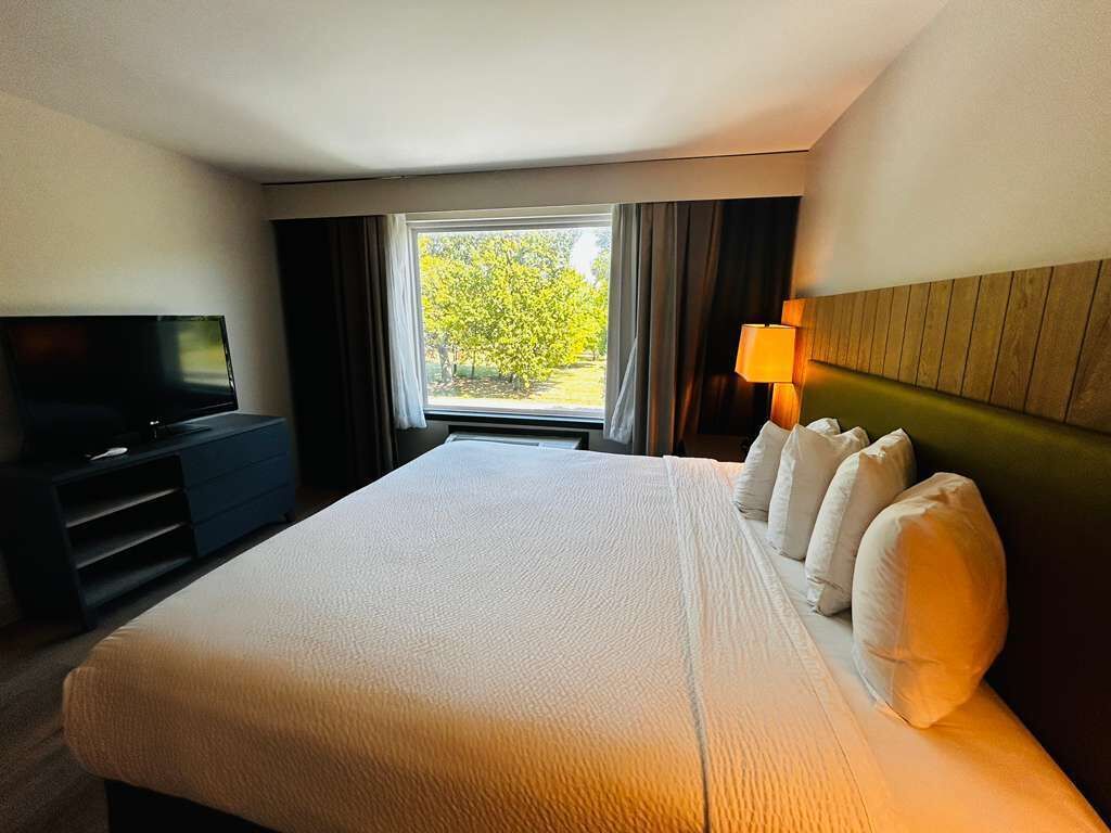 Een hotelkamer met een groot bed, een flatscreen televisie, een lamp en uitzicht op bomen.