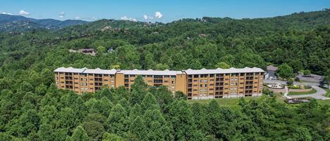 A multi-story hotel with a flat roof, surrounded by dense forest, and a clear sky.