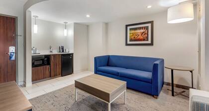 Holiday Inn Express & Suites Nashville Southeast - Antioch by IHG