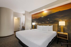 Standard Room, 1 King Bed, Non Smoking | Premium bedding, desk, blackout drapes, iron/ironing board - Clarion Pointe Sevierville-Pigeon Forge (Sevierville)