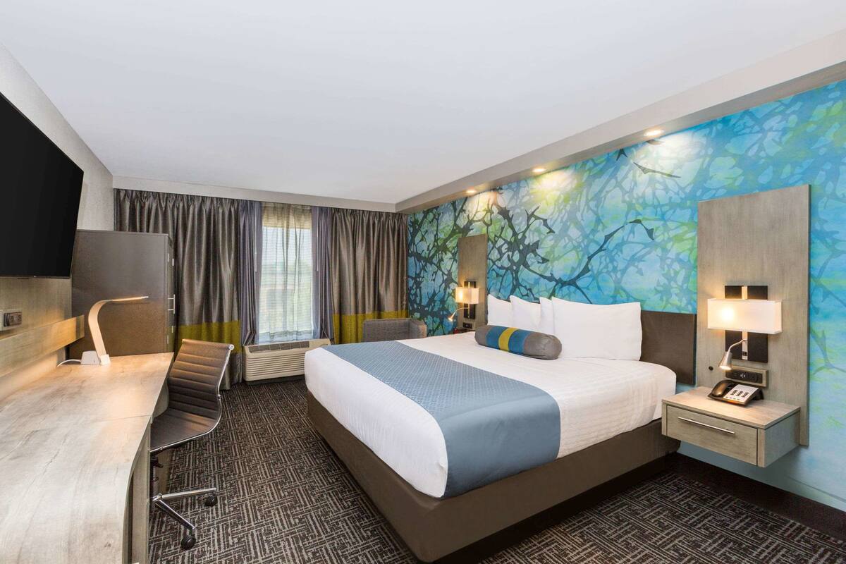 Habitación de hotel con una cama grande, un escritorio, una silla, una mesita de noche y un mural de un árbol en la pared.