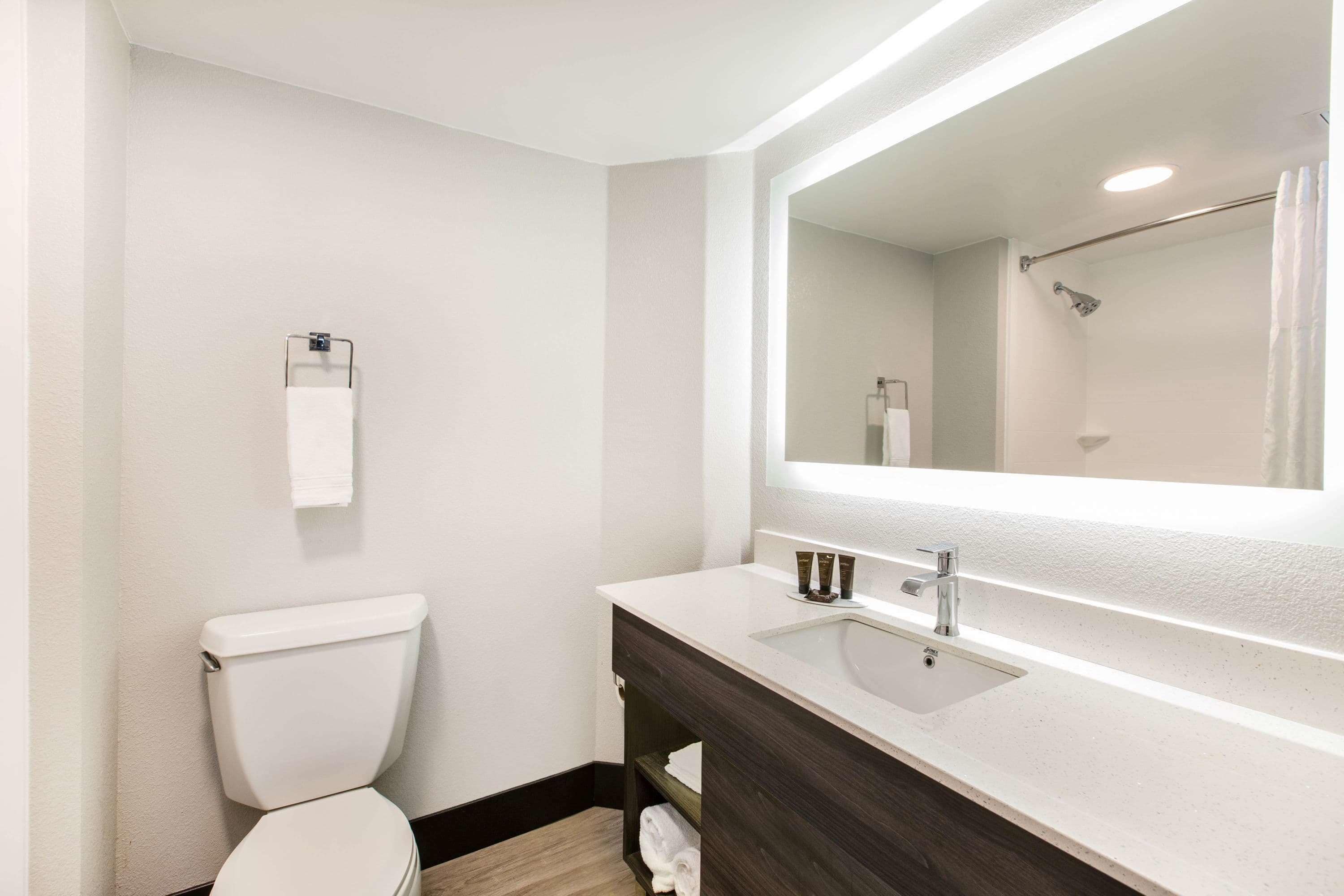 hair dryer, towels, soap, shampoo