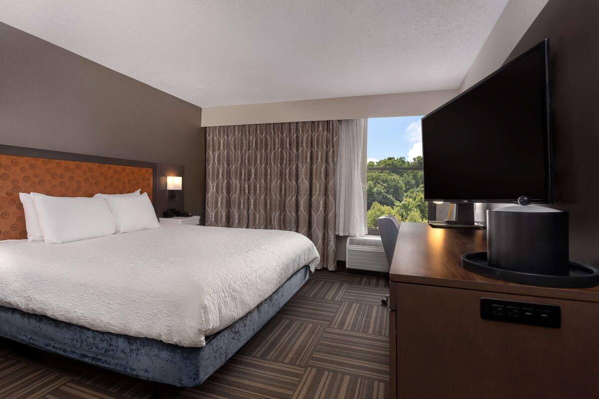 A hotel room with a large bed, a flat-screen TV, a desk with a coffee maker, and a view of greenery outside.