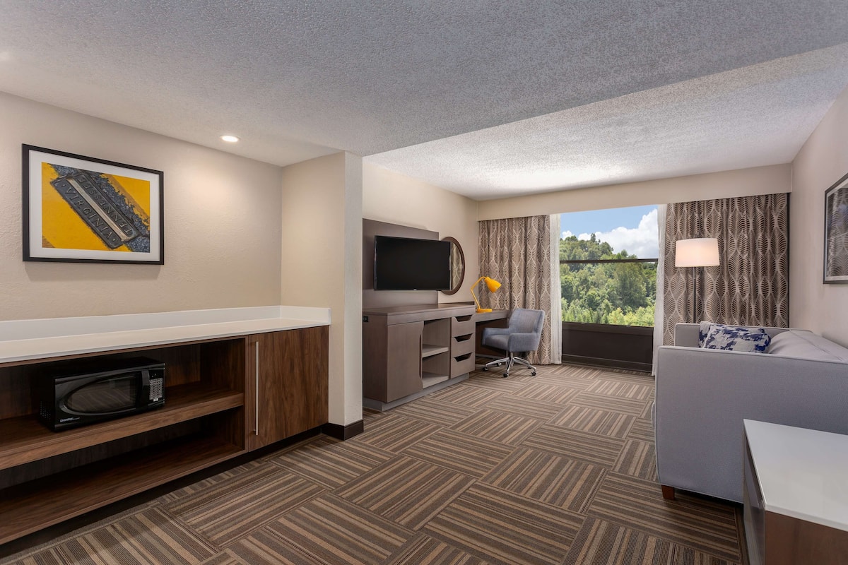 suite, 1 bedroom, non smoking | living area | tv