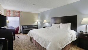 Desk, iron/ironing board, free cots/infant beds, free WiFi - Hampton Inn Nashville-I-24 Hickory Hollow (Antioch)