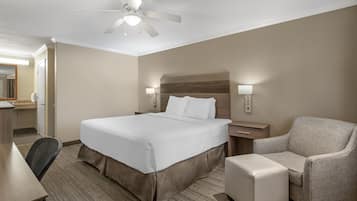 Habitación de hotel con cama, una silla, un escritorio y un ventilador de techo.