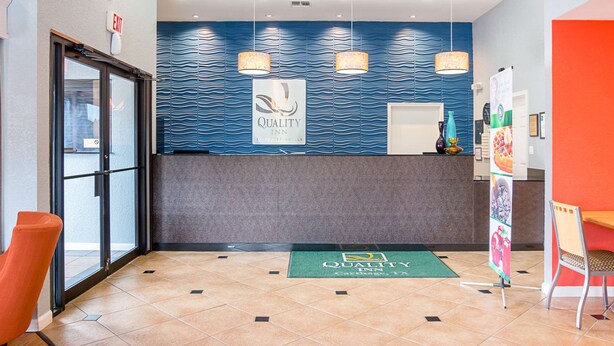 Zona de recepción de un hotel con un diseño de pared azul ondulado, un mostrador de recepción y un felpudo verde en el suelo.