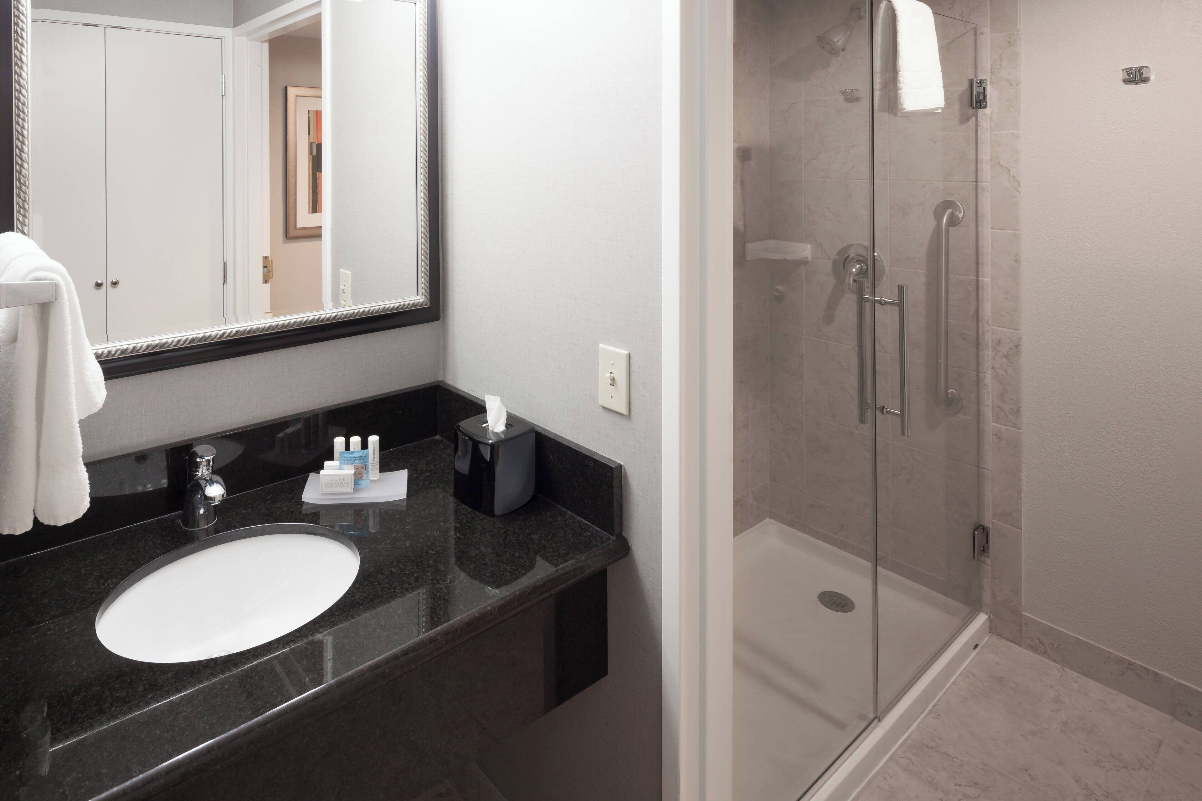 free toiletries, hair dryer, towels, toilet paper