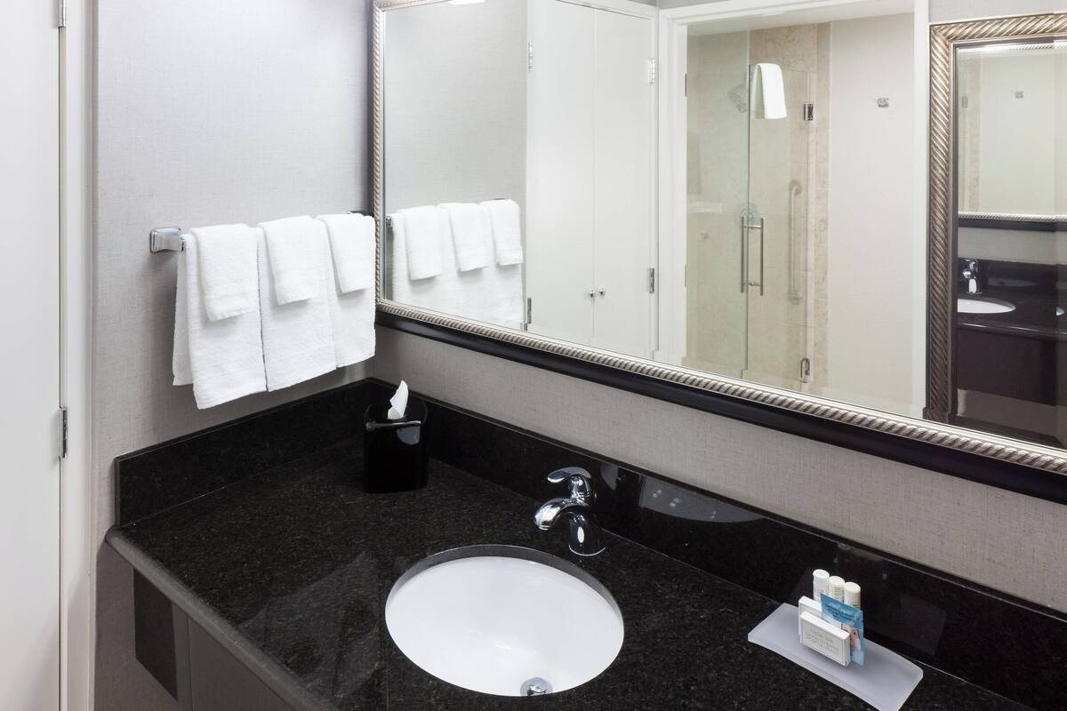 free toiletries, hair dryer, towels, toilet paper