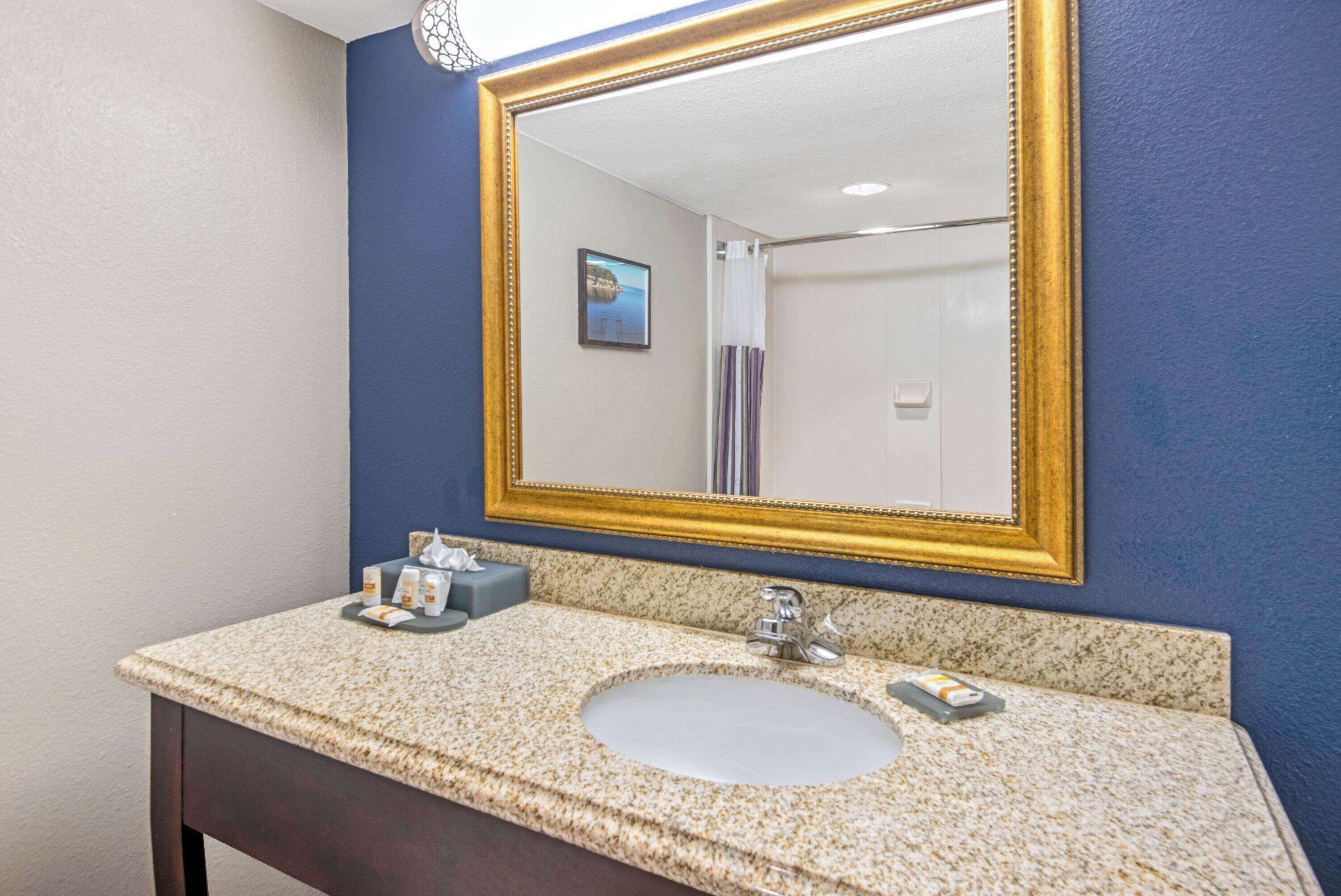 combined shower/bathtub, free toiletries, hair dryer, towels