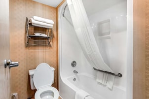 Bañera con ducha, artículos de tocador gratuitos, secador de pelo