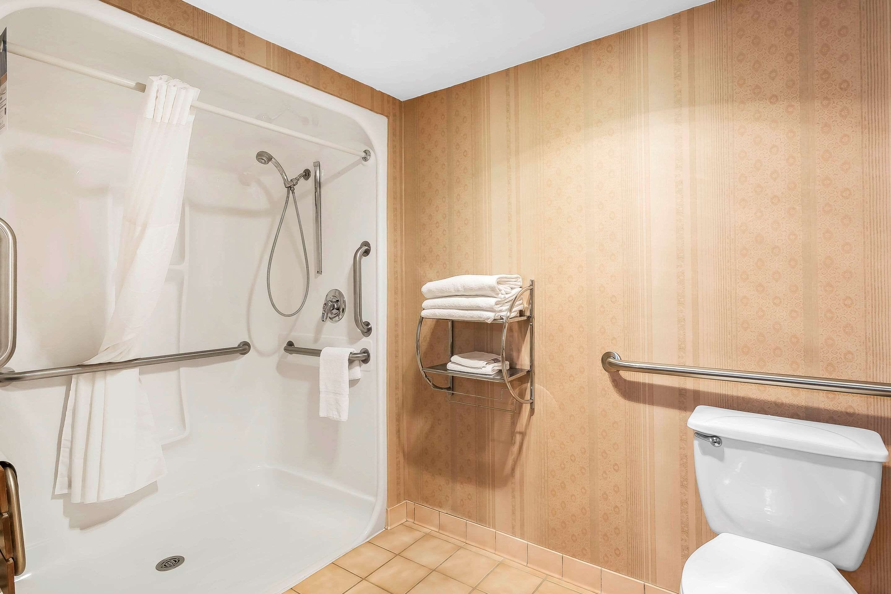 combined shower/bathtub, free toiletries, hair dryer, towels
