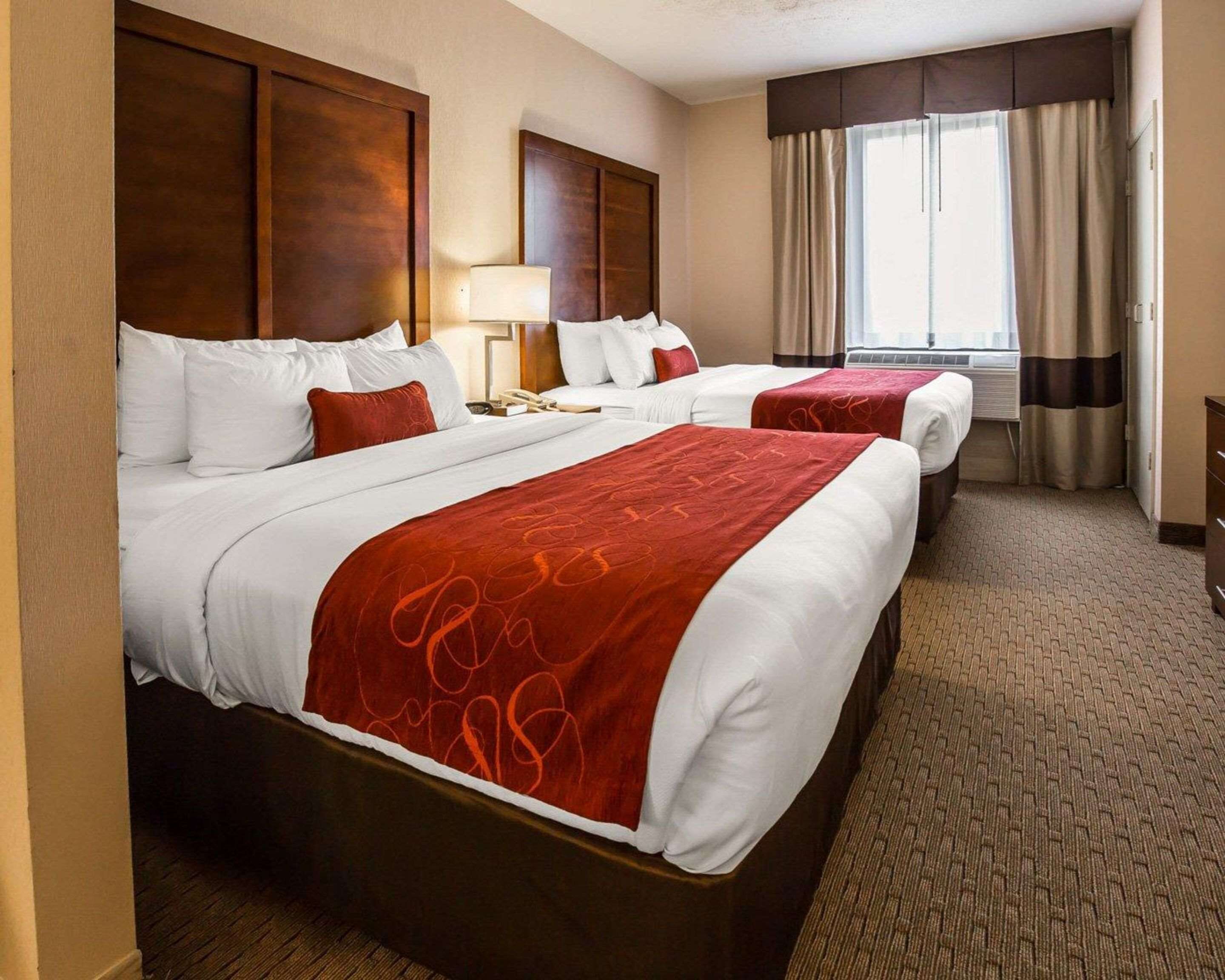 suite (2 queen beds and 1 sofabed) | in-room safe, desk, iron/ironing board, free cots/infant beds