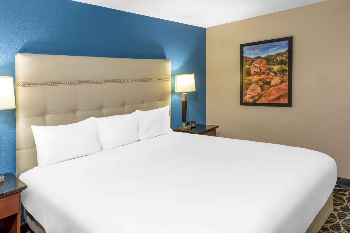 Habitación de hotel con una cama grande, una mesita de noche, una lámpara y un cuadro en la pared.