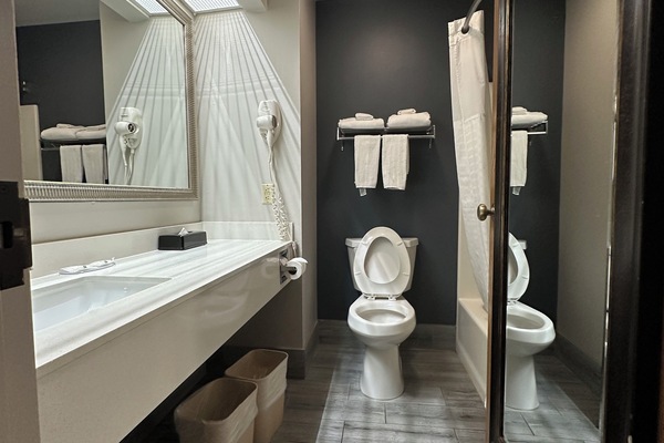 Standard Room, 1 King Bed, Non Smoking | Bathroom | Combined shower/tub, hydromassage showerhead, free toiletries