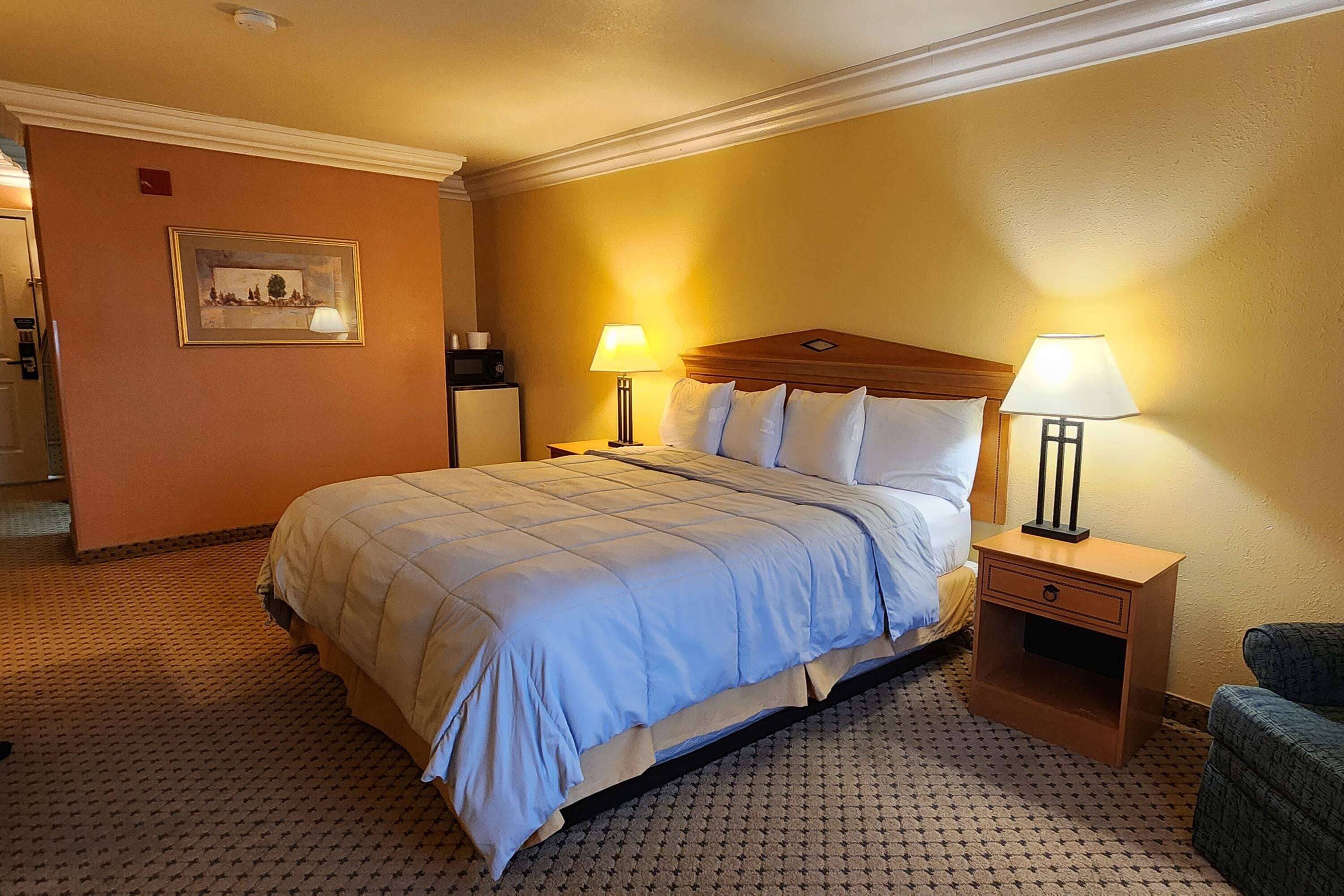 A hotel room with a large bed, two bedside tables with lamps, a chair, and a framed picture on the wall.