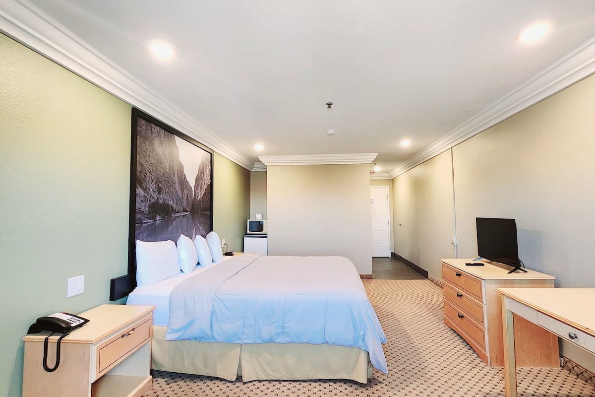 A hotel room with a bed, a desk, a television, and a telephone.