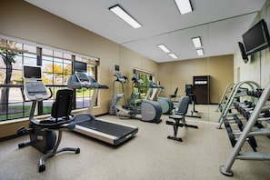 A gym with treadmills, elliptical machines, and weight benches.