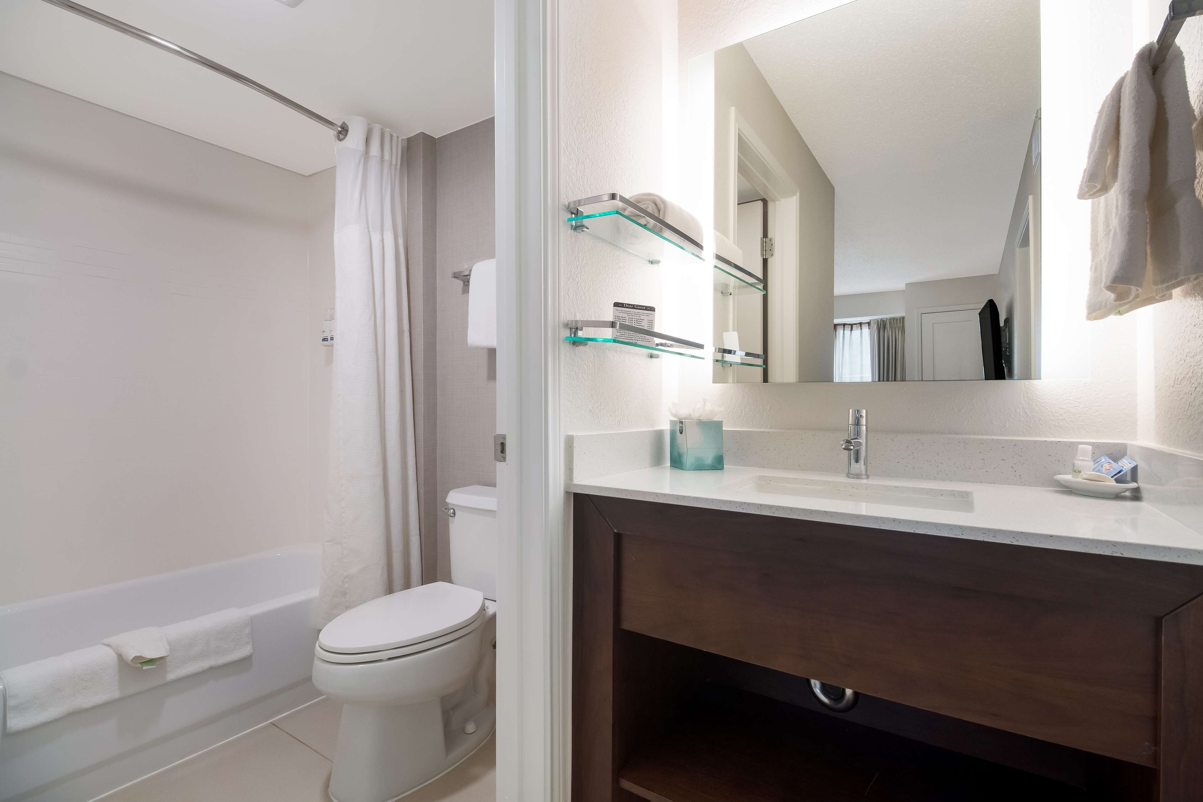 deluxe room, 1 queen bed with sofa bed (studio) | bathroom | hair dryer, towels, soap, shampoo