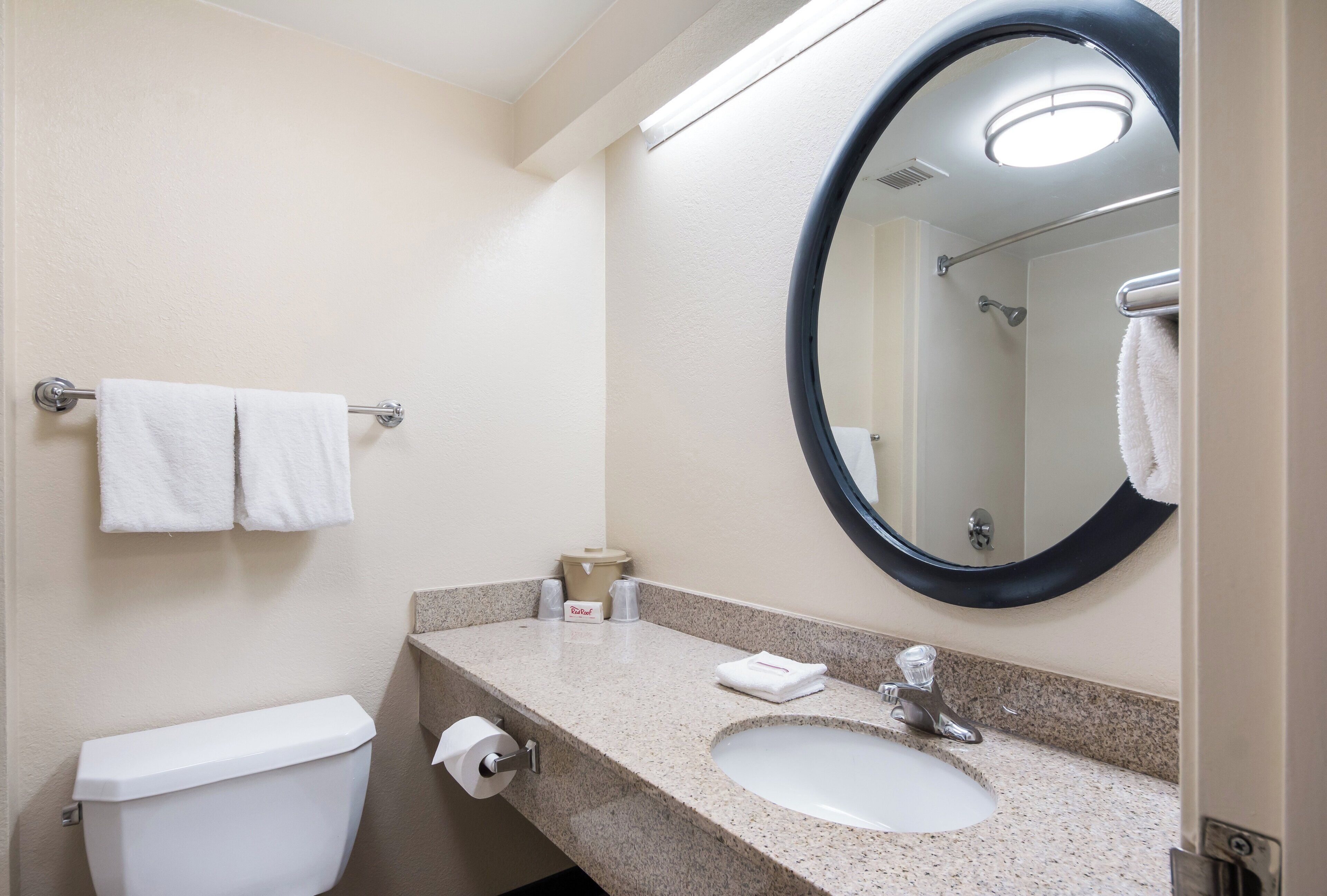 A bathroom with a toilet, sink, and a mirror.