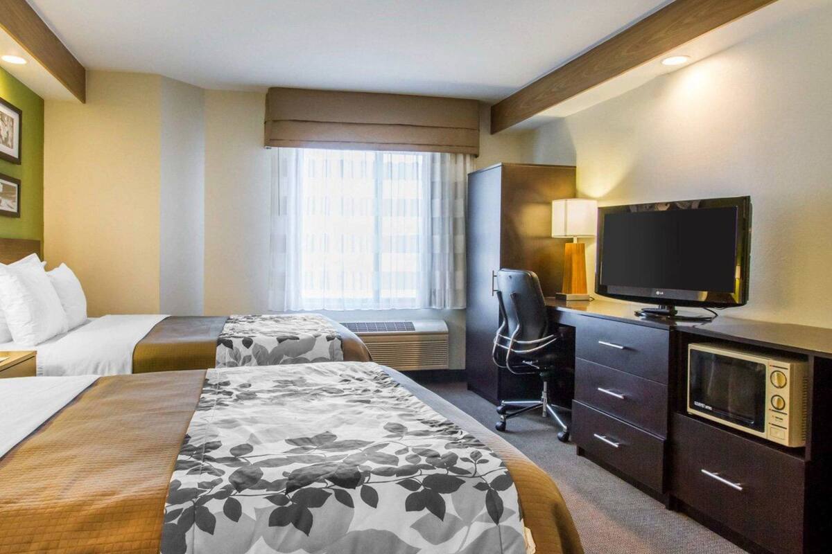 standard double room, 2 double beds, non smoking | desk, iron/ironing board, free wifi, bed sheets