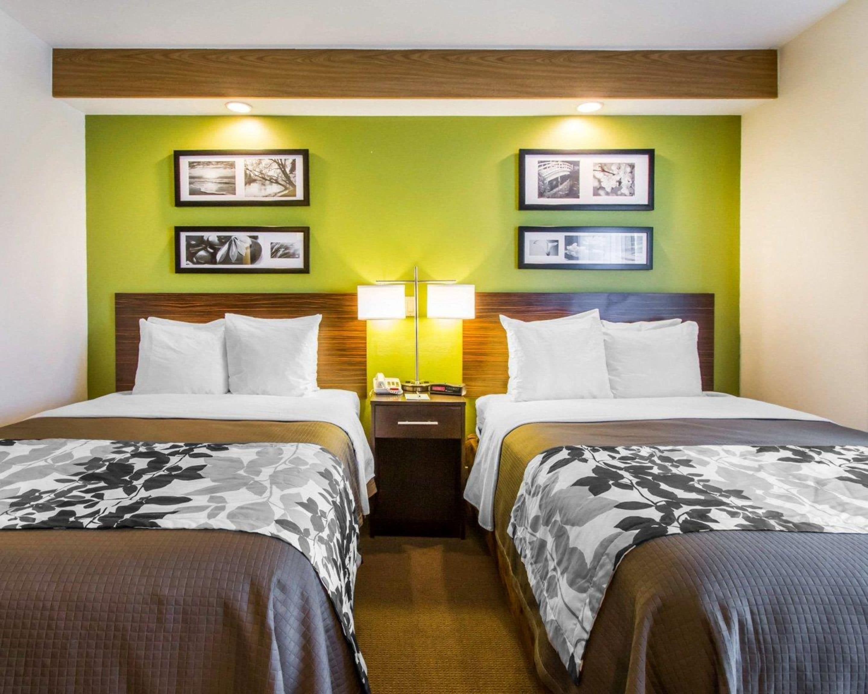 standard double room, 2 double beds, non smoking | desk, iron/ironing board, free wifi, bed sheets