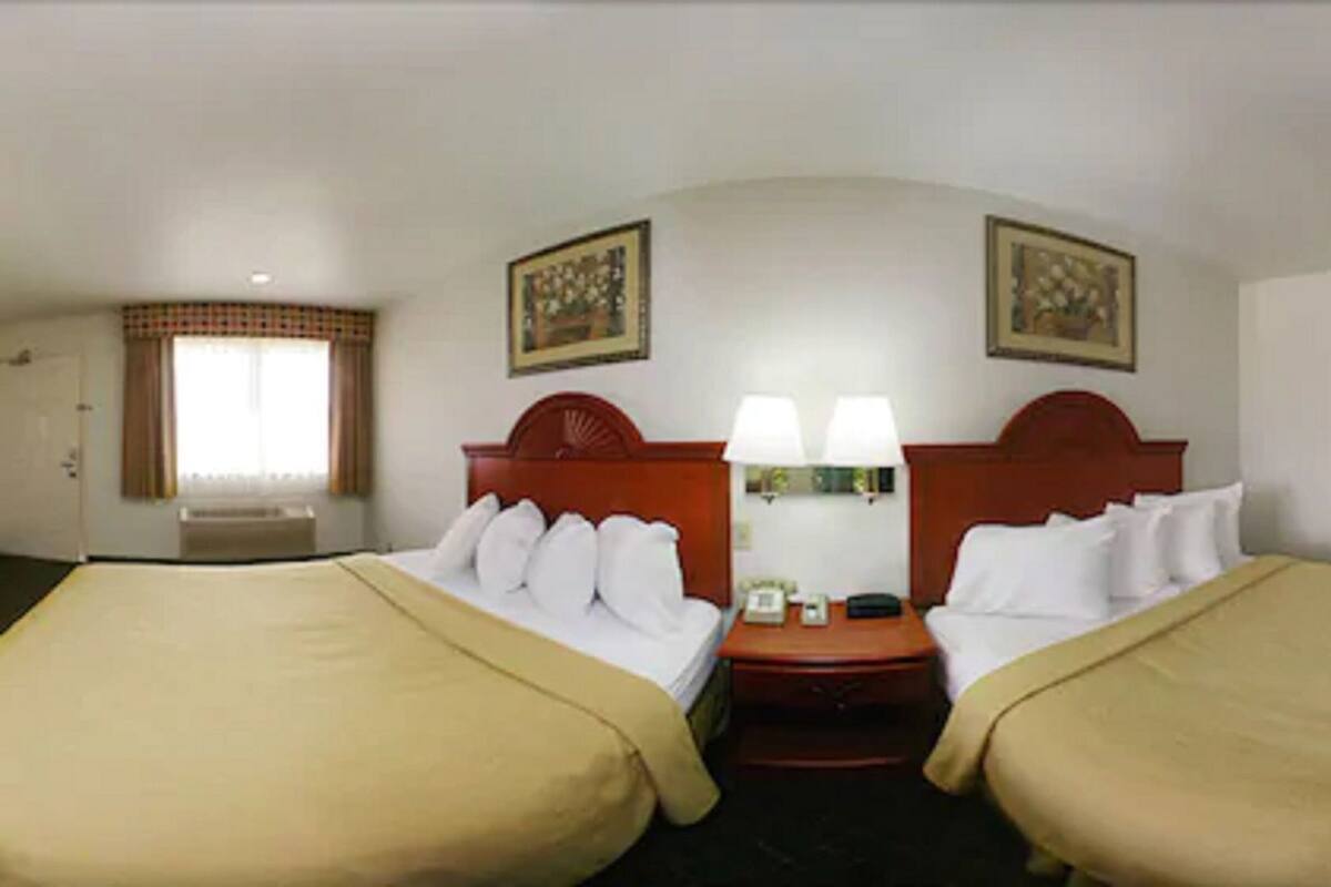 Ein Hotelzimmer mit zwei Betten, einem Nachttisch, einer Lampe und zwei Bildern an der Wand.