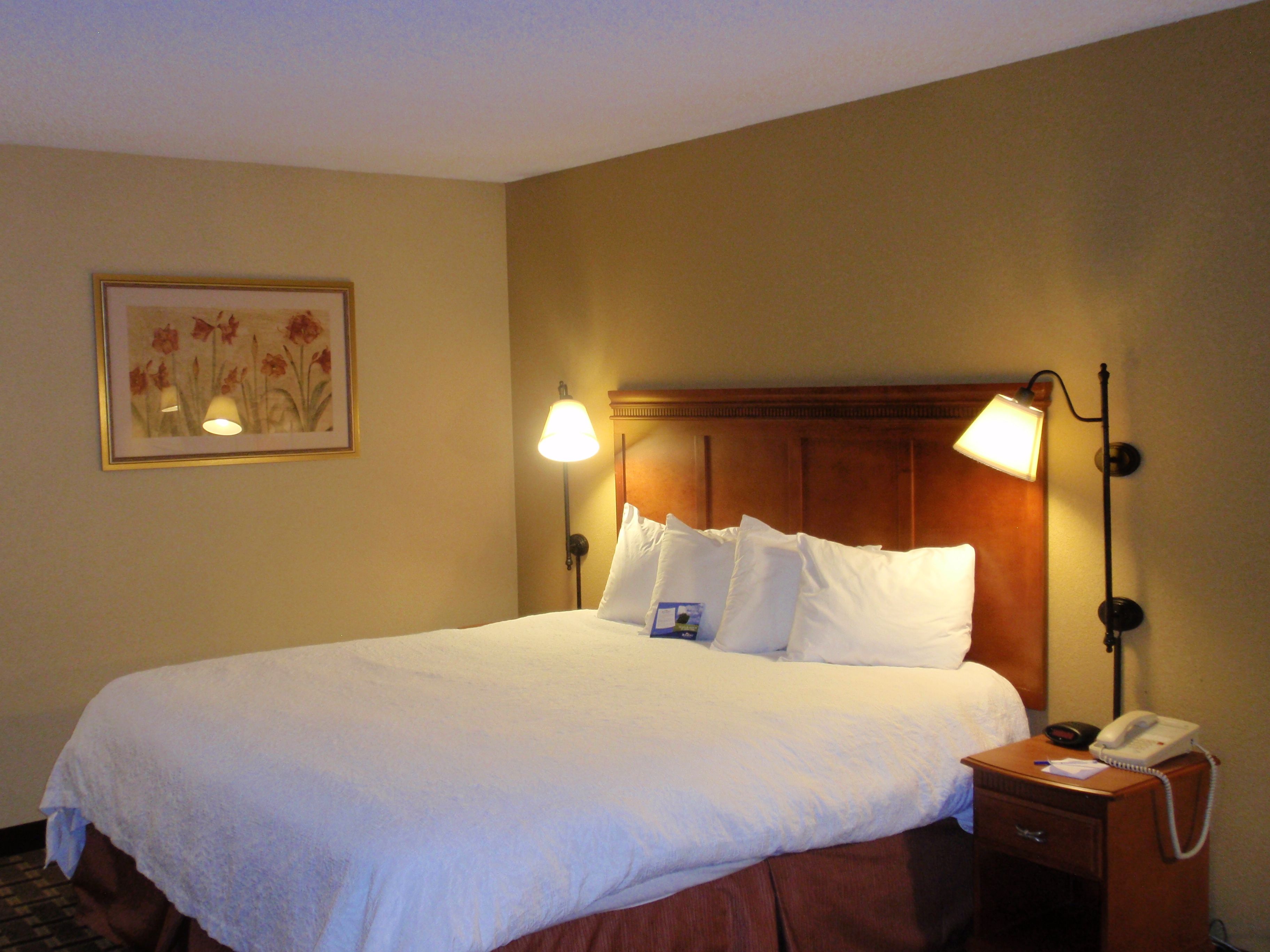 A hotel room with a large bed, two bedside lamps, a nightstand with a phone, and a framed picture on the wall.