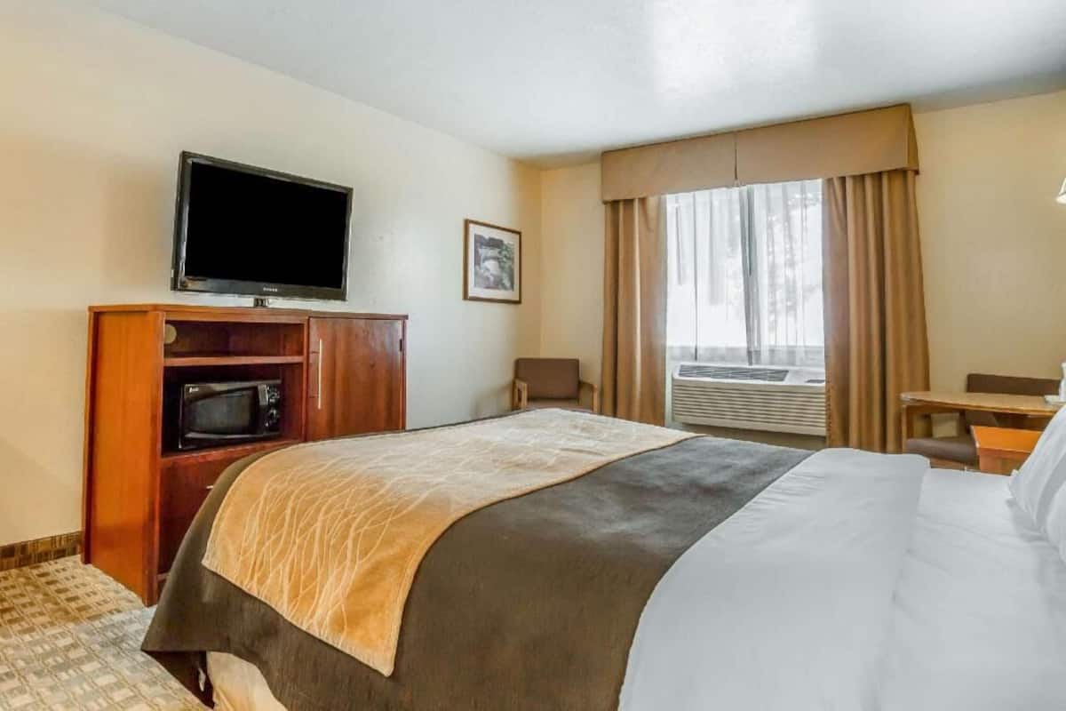 A hotel room with a bed, a television, a microwave, an air conditioning unit, and a window with curtains.