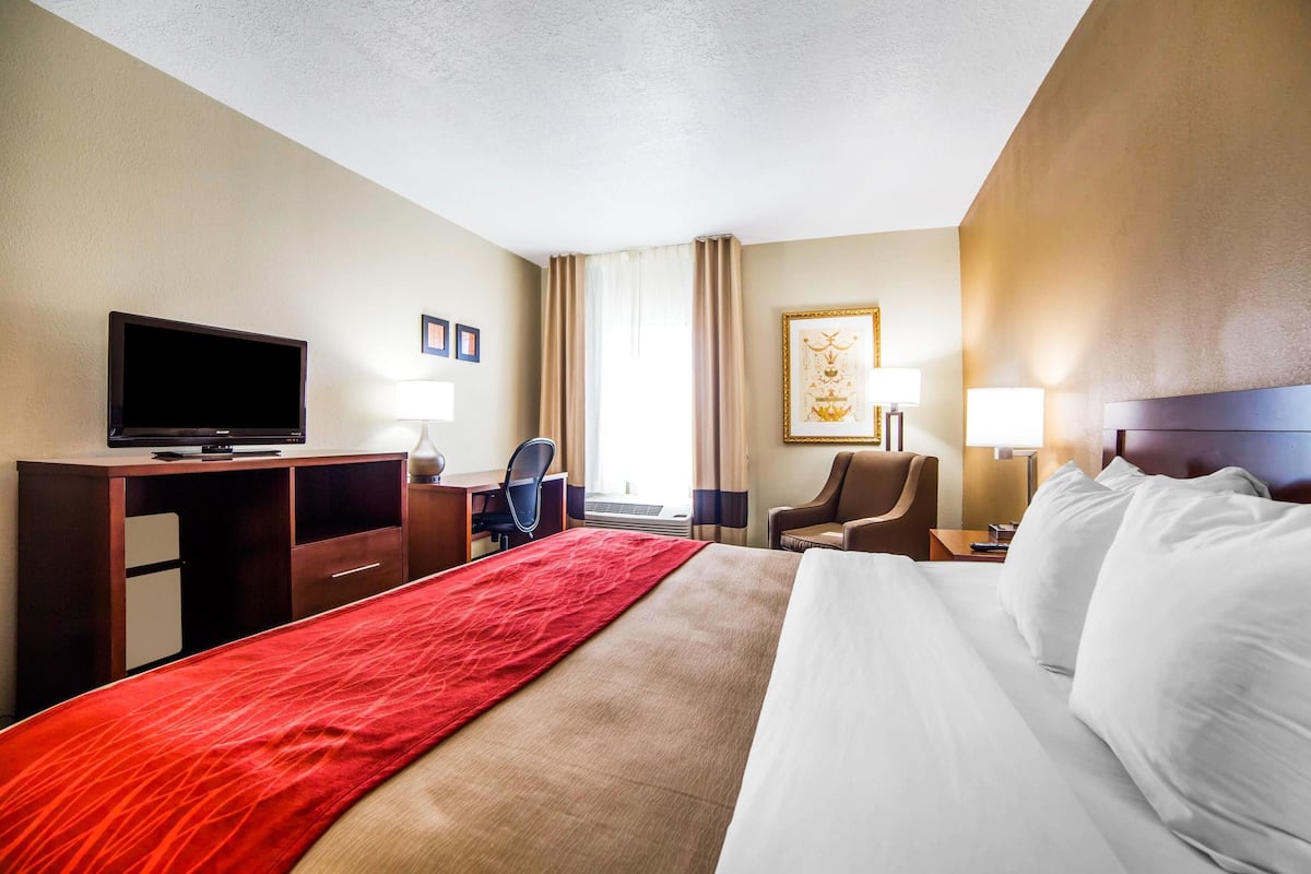 Iron/ironing board, free cots/infant beds, free WiFi, bed sheets