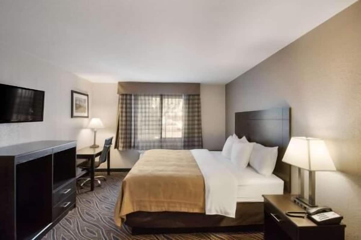 Desk, laptop workspace, blackout curtains, cots/infant beds