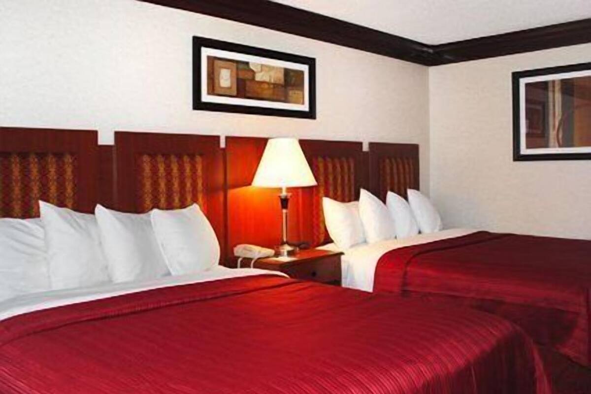 Standard Room, 2 Queen Beds, Non Smoking | Desk, blackout drapes, iron/ironing board, cribs (free)