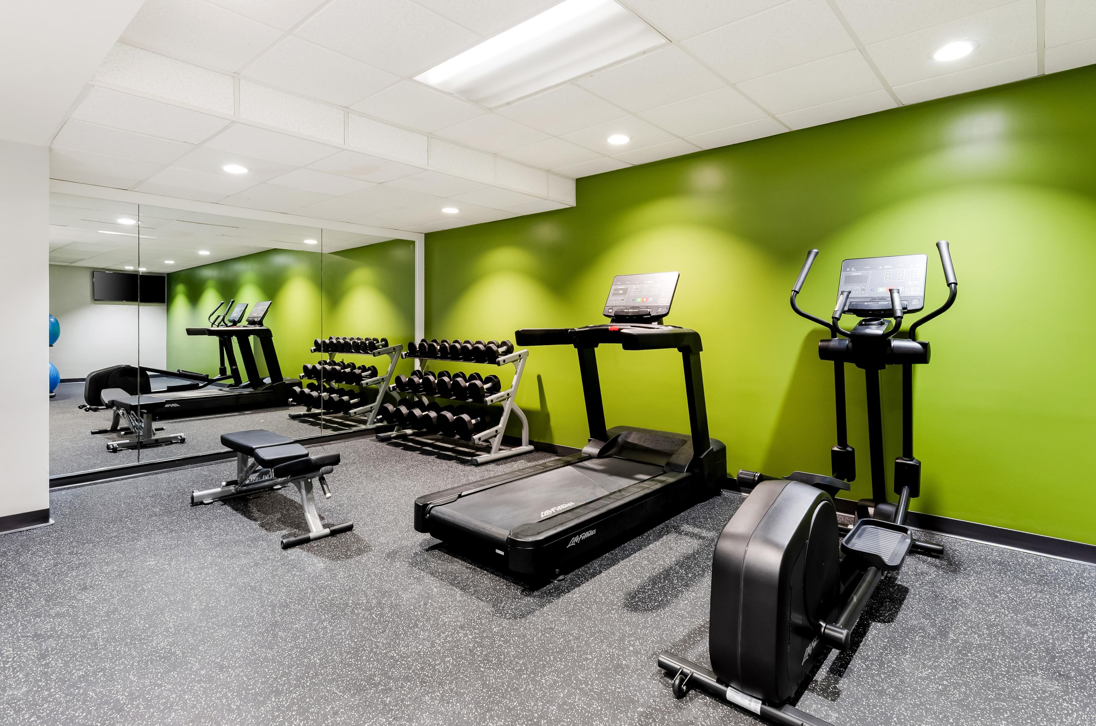 A gym with treadmills, dumbbells, and exercise equipment.