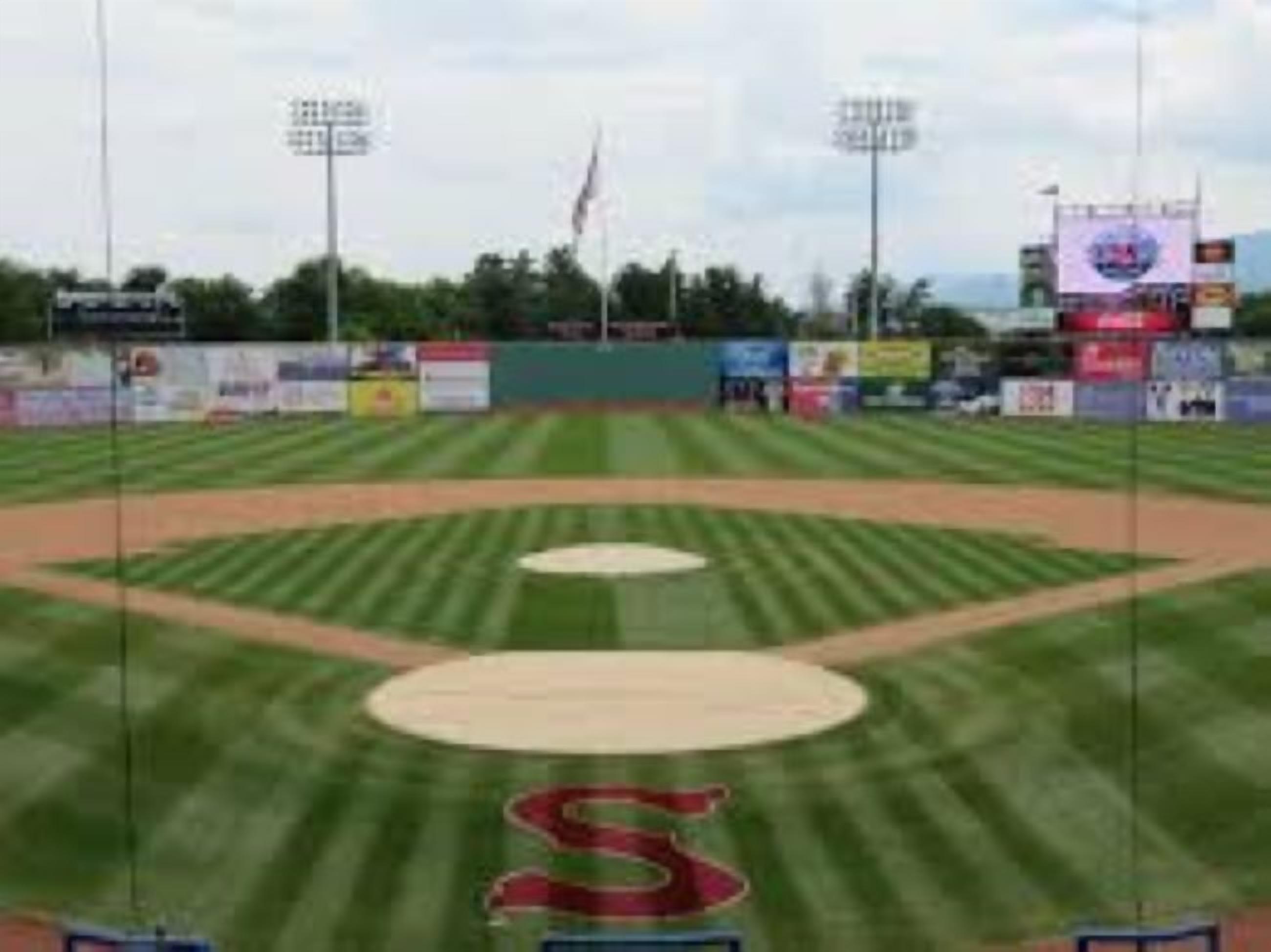 A baseball field with a large 'S' logo in the center, surrounded by advertisements and a flag.